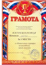 1 место Новогодний турнир по волейболу среди девушек г.Богородск